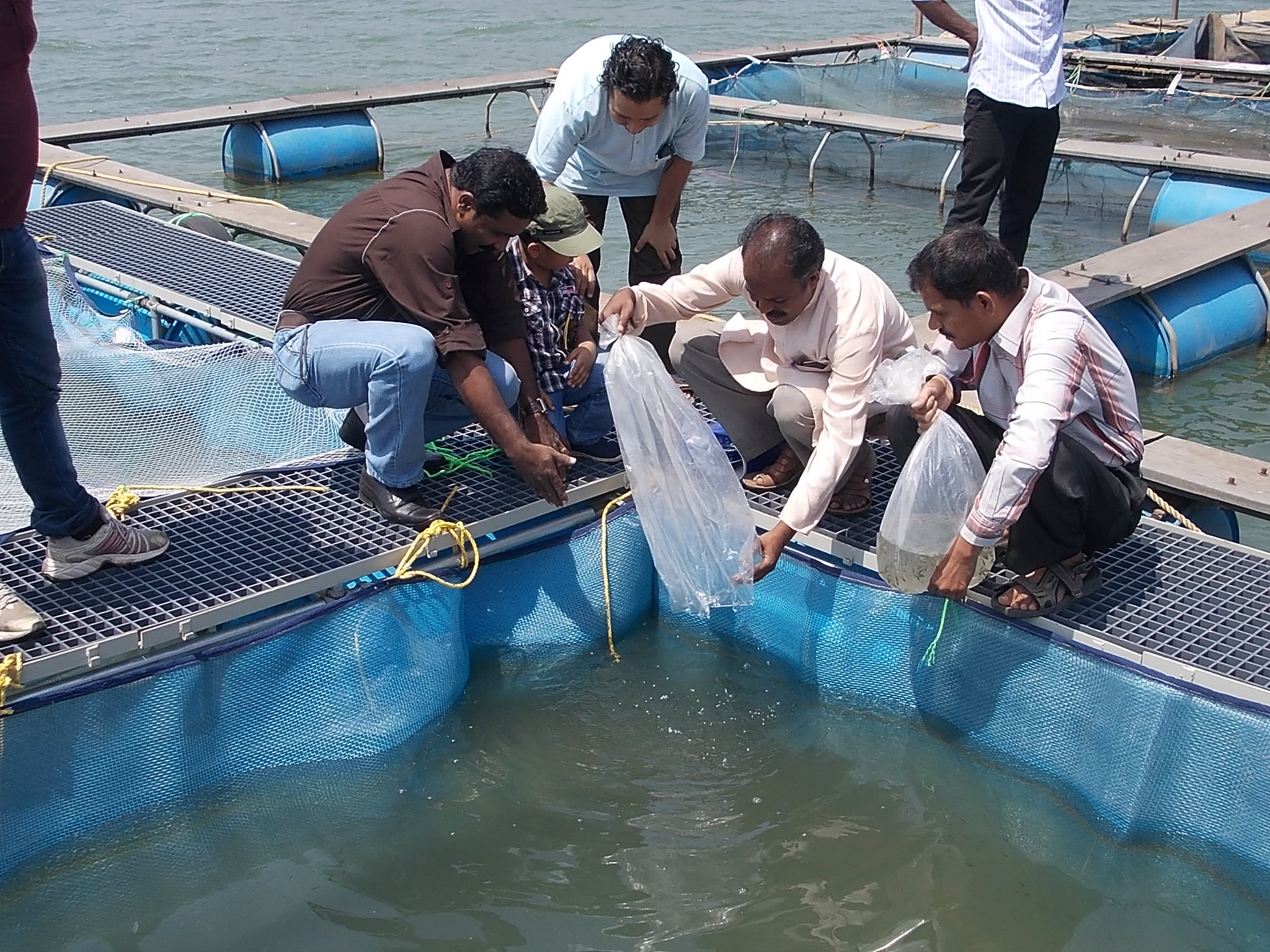 Floating Fish Cages