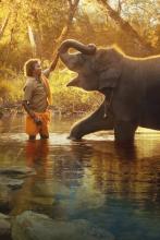 the-elephant-whisperers